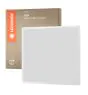 Ledvance LED Panel Eco 36W 3600lm - 840 Kaltweiß | 60x60cm - UGR <22