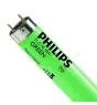 Philips MASTER TL-D 18W - Grün | 60cm